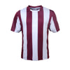 Adults Sublimated Striped Football Jersey Design 2